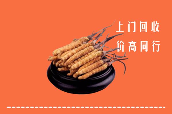 高价求购：崂山区回收散虫草