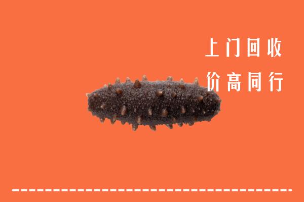 高价求购：崂山区回收海参