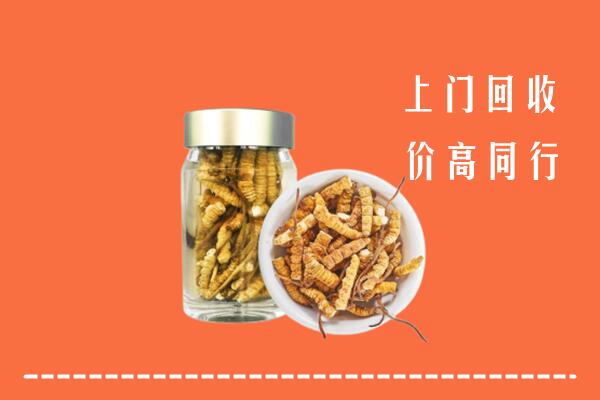 崂山区回收冬虫夏草