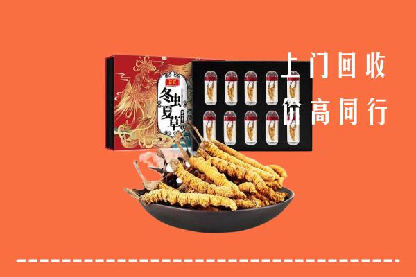 崂山区回收虫草